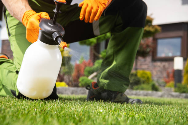 Best Pest Prevention Services  in Osprey, FL