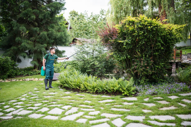 Wasp Removal Services in Osprey, FL