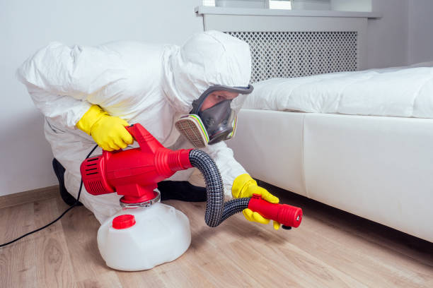 Best Wasp Removal Services  in Osprey, FL