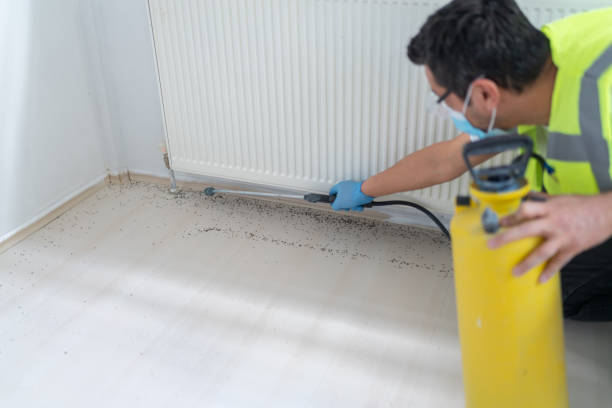 Best Pest Inspection Near Me  in Osprey, FL